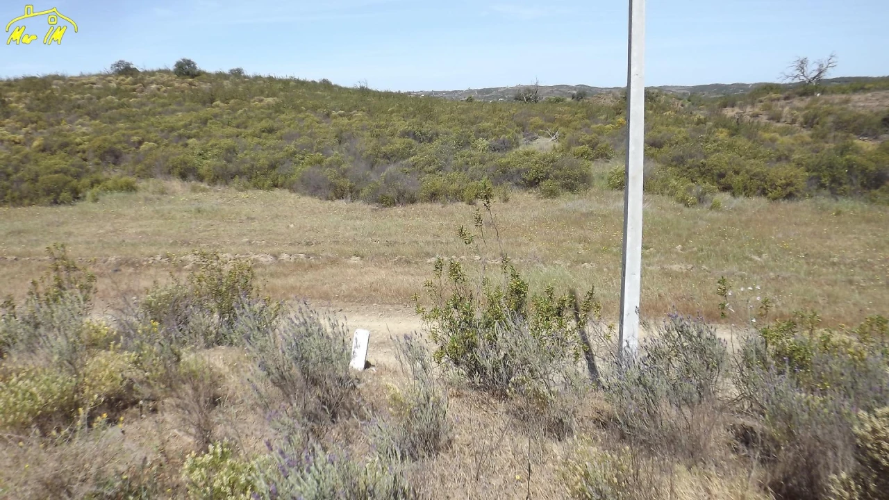 Terreno Agricola ou Rústico para Venda em Azinhal Foto 3