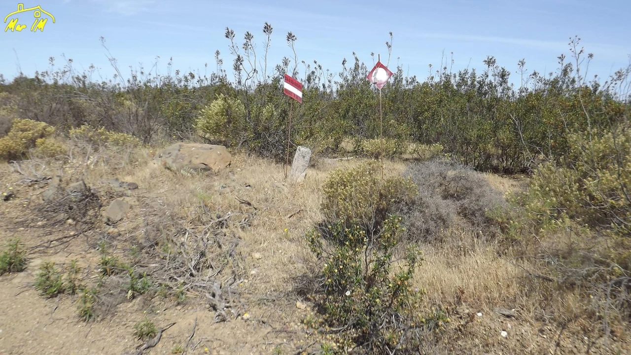 Terreno Agricola ou Rústico para Venda em Azinhal Foto 33