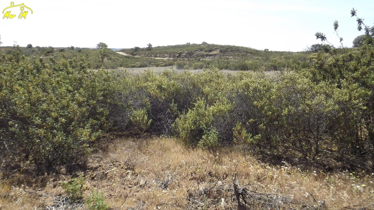 Terreno Agricola ou Rústico para Venda em Azinhal Foto 38