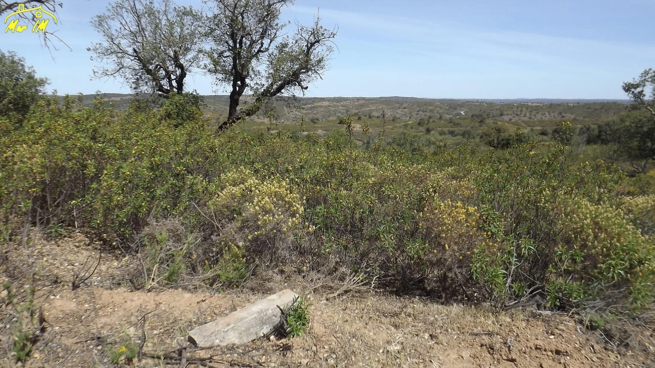 Terreno Agricola ou Rústico para Venda em Azinhal Foto 41