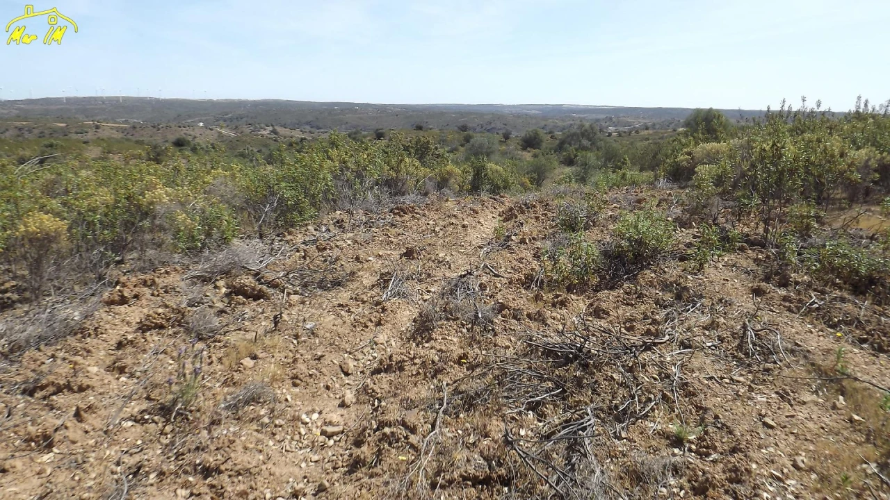 Terreno Agricola ou Rústico para Venda em Azinhal Foto 42