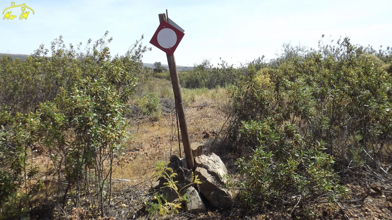 Terreno Agricola ou Rústico para Venda em Azinhal Foto 43