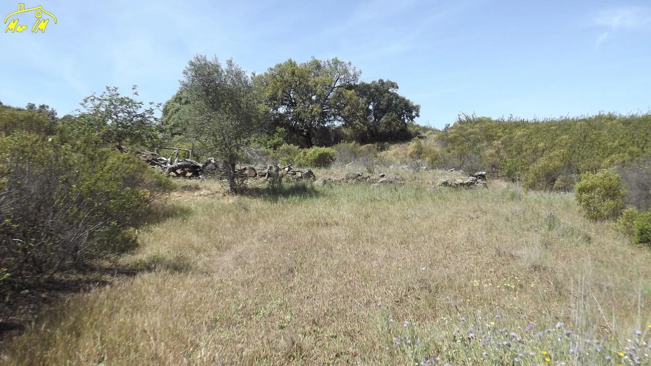 Terreno Agricola ou Rústico para Venda em Azinhal Foto 44