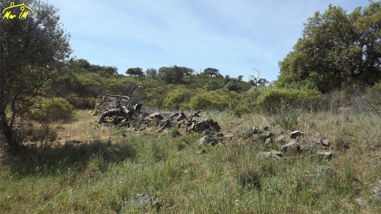 Terreno Agricola ou Rústico para Venda em Azinhal Foto 45
