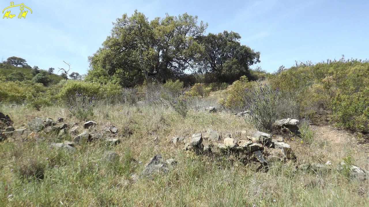 Terreno Agricola ou Rústico para Venda em Azinhal Foto 46