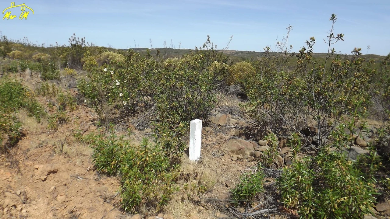 Terreno Agricola ou Rústico para Venda em Azinhal Foto 50
