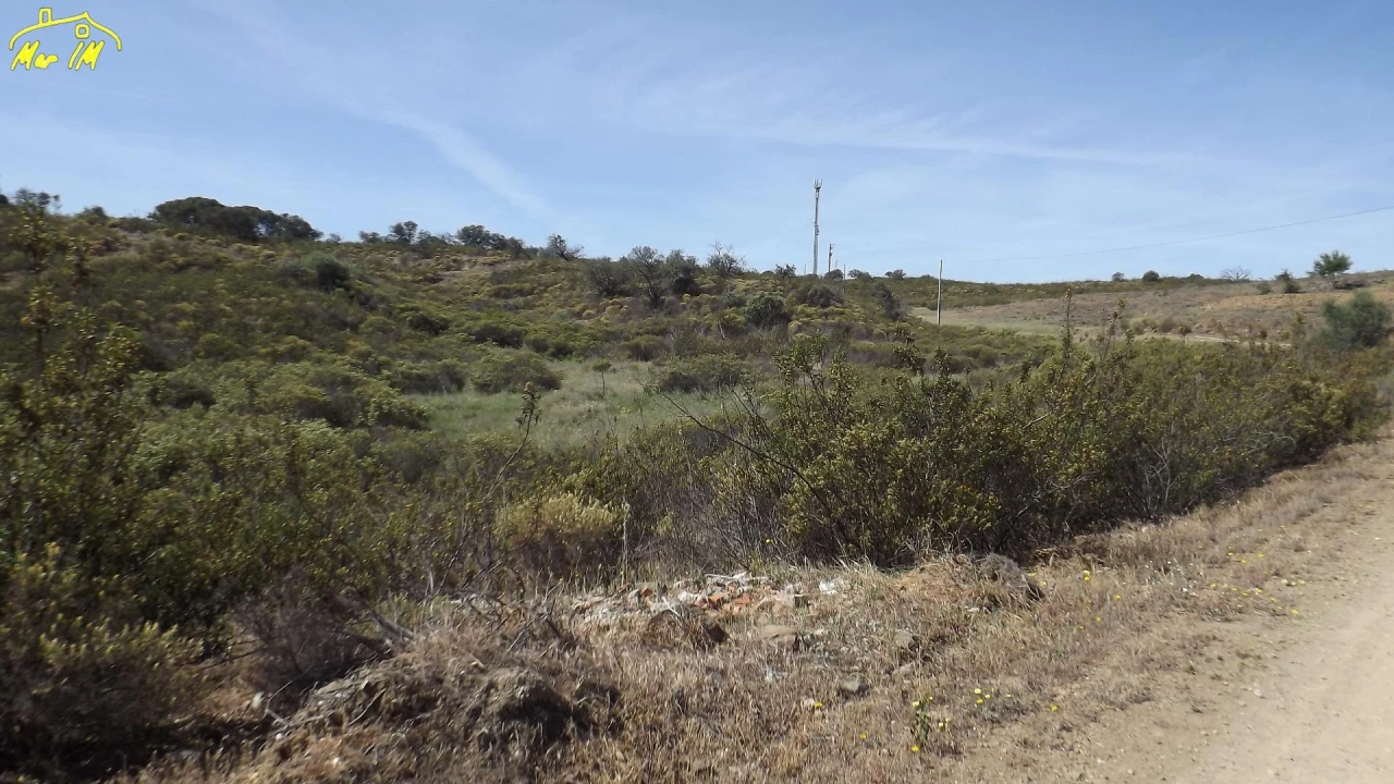 Terreno Agricola ou Rústico para Venda em Azinhal Foto 8