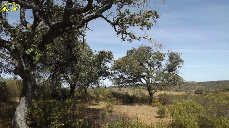 Terreno Agricola ou Rústico para Venda em Azinhal Foto 16