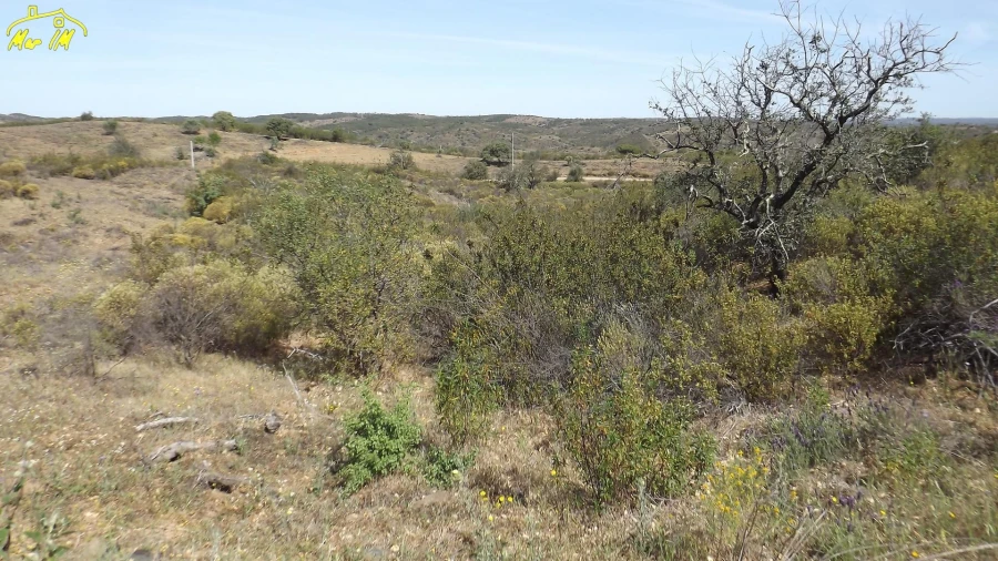 Terreno Agricola ou Rústico para Venda em Azinhal Foto 19