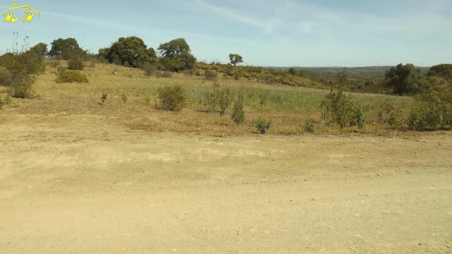 Terreno Agricola ou Rústico para Venda em Azinhal Foto 2