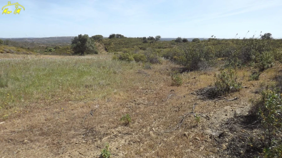 Terreno Agricola ou Rústico para Venda em Azinhal Foto 30