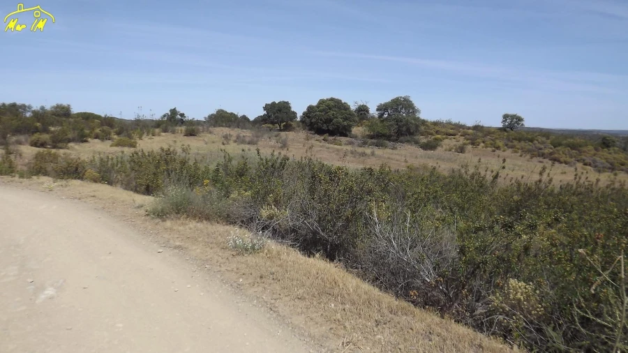 Terreno Agricola ou Rústico para Venda em Azinhal Foto 31