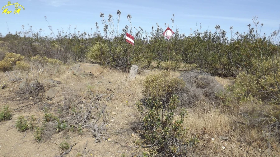 Terreno Agricola ou Rústico para Venda em Azinhal Foto 33