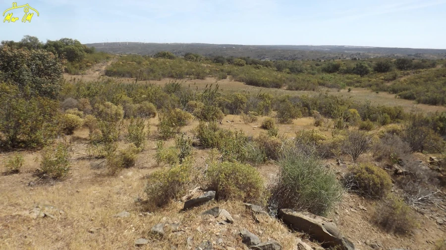 Terreno Agricola ou Rústico para Venda em Azinhal Foto 34