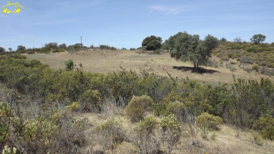 Terreno Agricola ou Rústico para Venda em Azinhal Foto 35