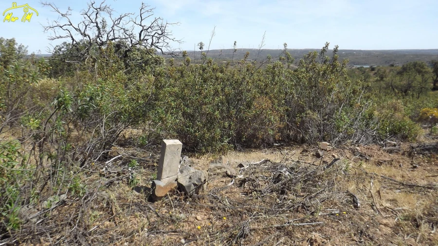 Terreno Agricola ou Rústico para Venda em Azinhal Foto 39