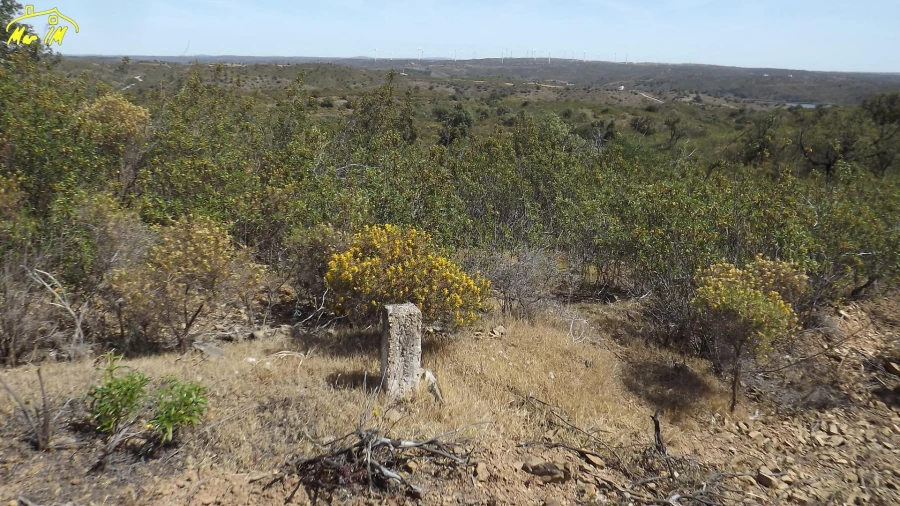 Terreno Agricola ou Rústico para Venda em Azinhal Foto 40
