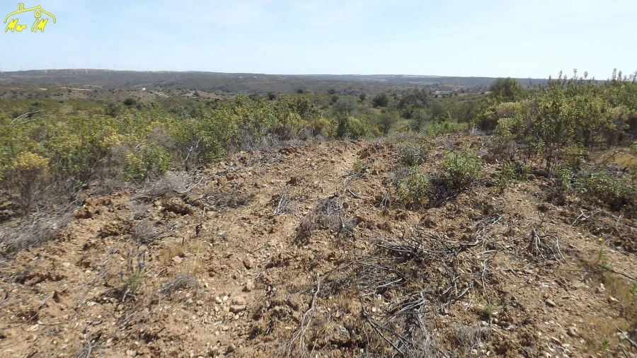 Terreno Agricola ou Rústico para Venda em Azinhal Foto 42
