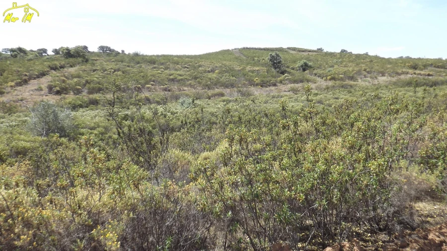 Terreno Agricola ou Rústico para Venda em Azinhal Foto 49