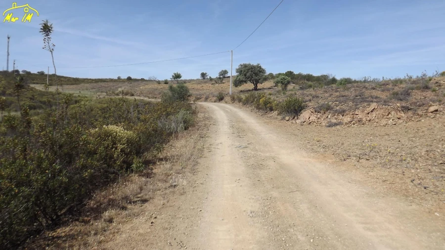 Terreno Agricola ou Rústico para Venda em Azinhal Foto 9