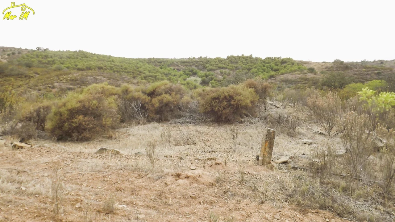Terreno Agricola ou Rústico para Venda em Castro Marim Foto 11