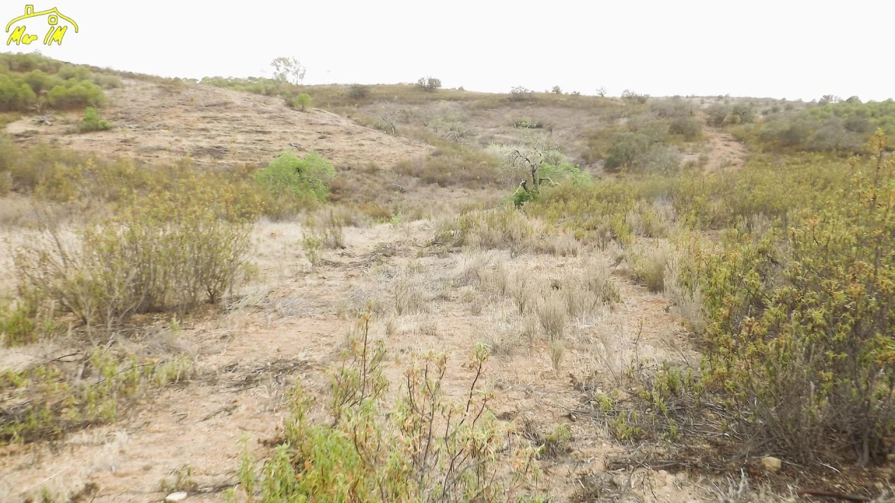 Terreno Agricola ou Rústico para Venda em Castro Marim Foto 15