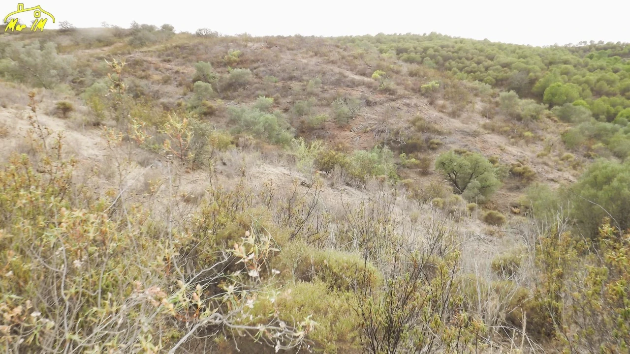 Terreno Agricola ou Rústico para Venda em Castro Marim Foto 19