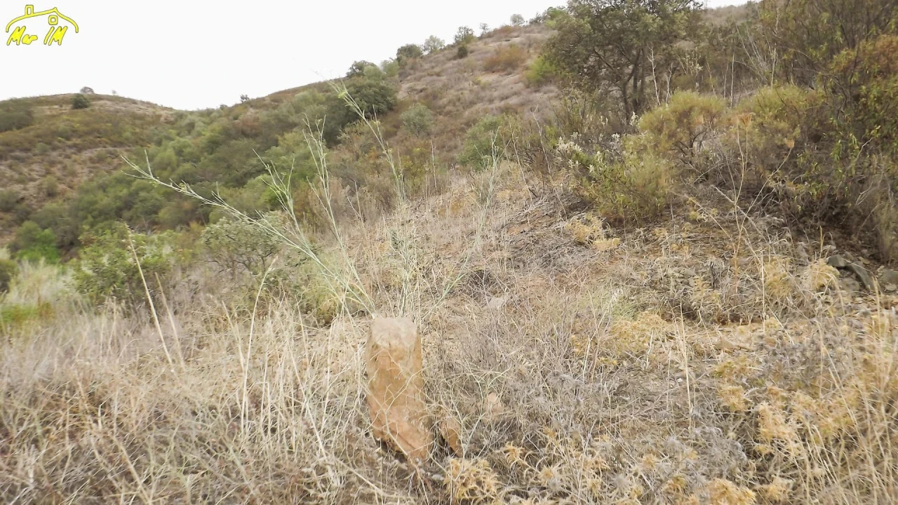 Terreno Agricola ou Rústico para Venda em Castro Marim Foto 22