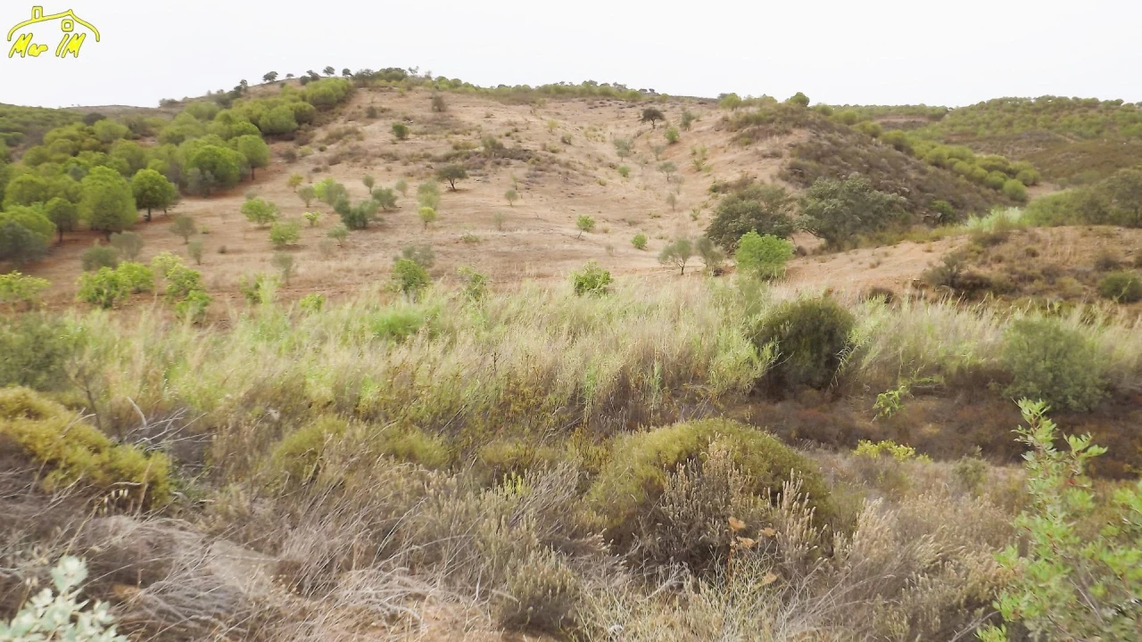 Terreno Agricola ou Rústico para Venda em Castro Marim Foto 23