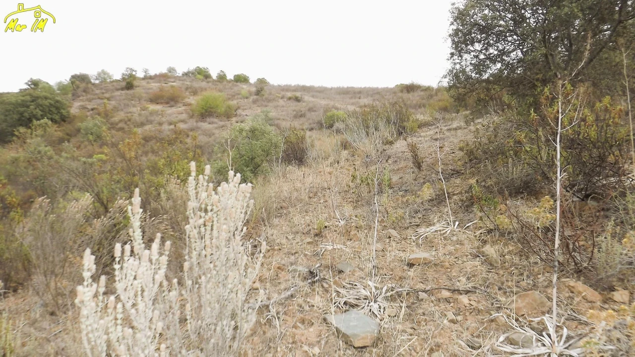 Terreno Agricola ou Rústico para Venda em Castro Marim Foto 24