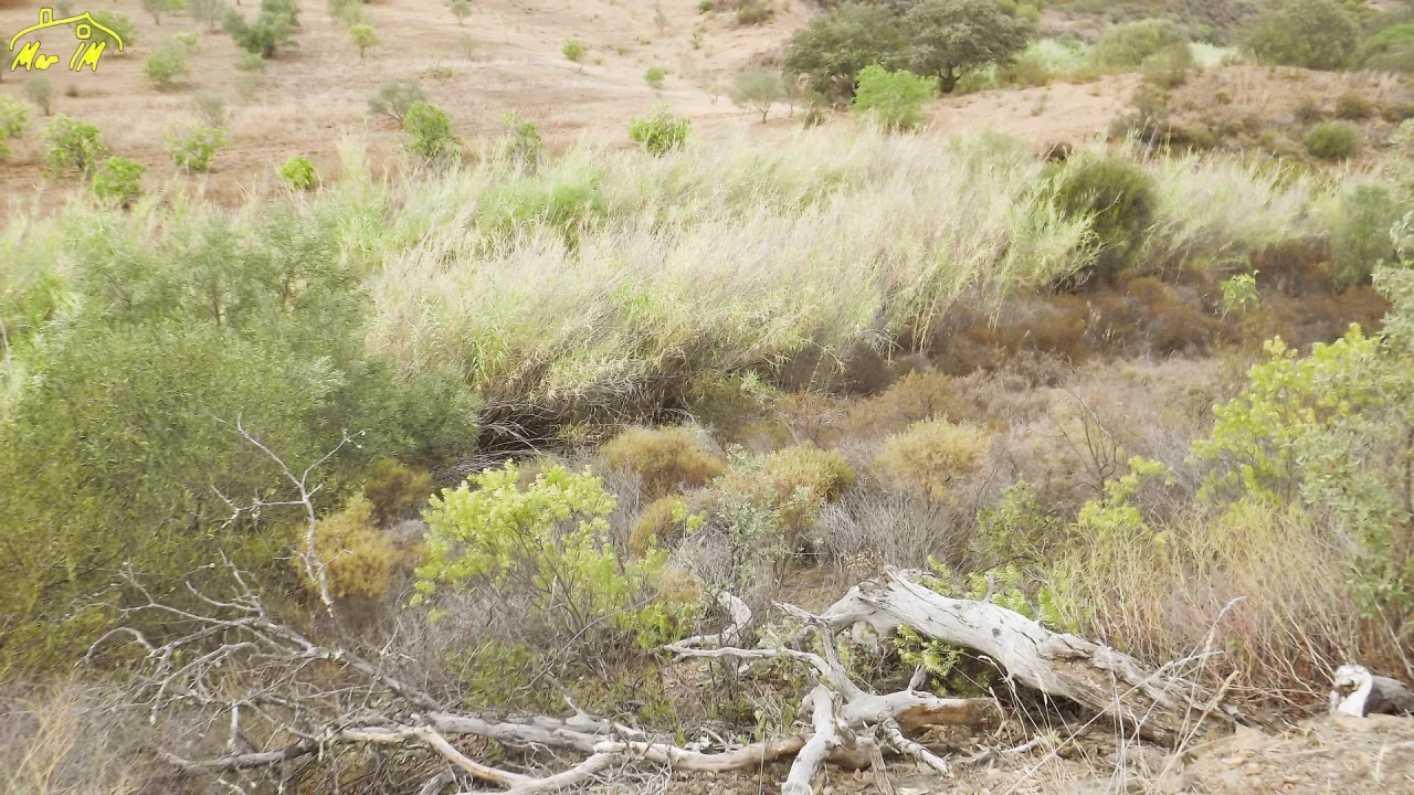 Terreno Agricola ou Rústico para Venda em Castro Marim Foto 25