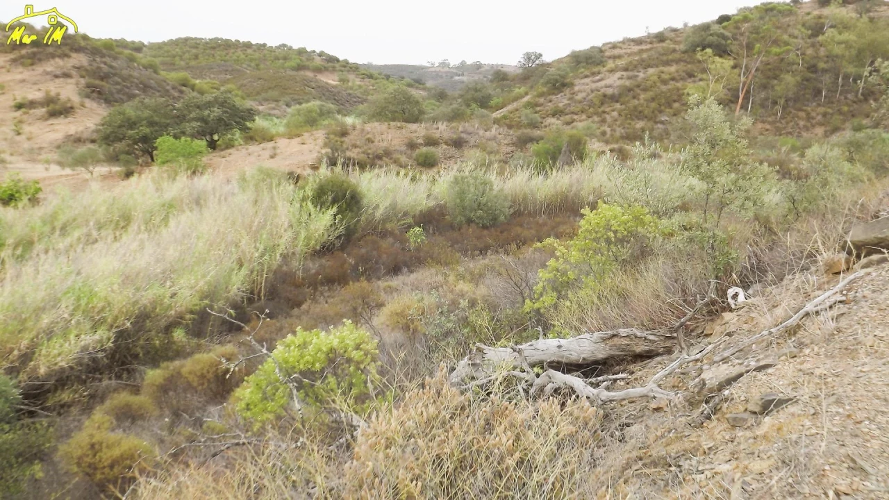Terreno Agricola ou Rústico para Venda em Castro Marim Foto 29