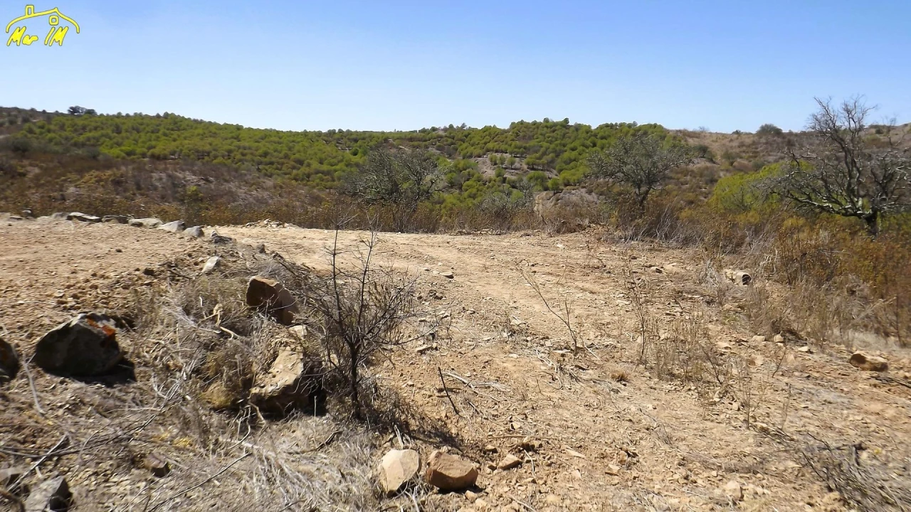 Terreno Agricola ou Rústico para Venda em Castro Marim Foto 44