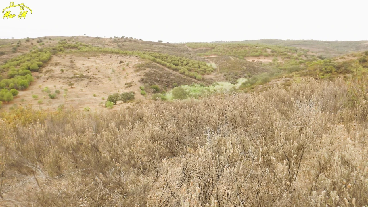 Terreno Agricola ou Rústico para Venda em Castro Marim Foto 8