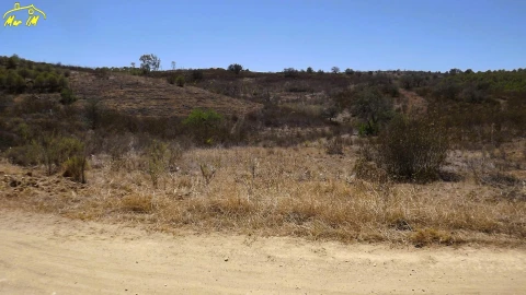 Terreno Agricola ou Rústico para Venda em Castro Marim