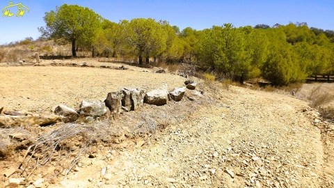 Terreno Agricola ou Rústico para Venda em Castro Marim