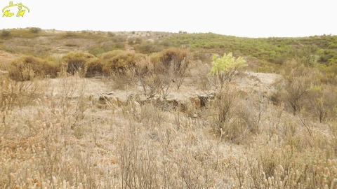 Terreno Agricola ou Rústico para Venda em Castro Marim
