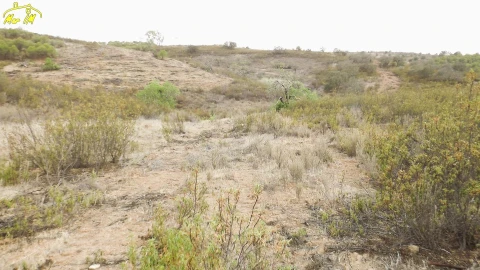 Terreno Agricola ou Rústico para Venda em Castro Marim