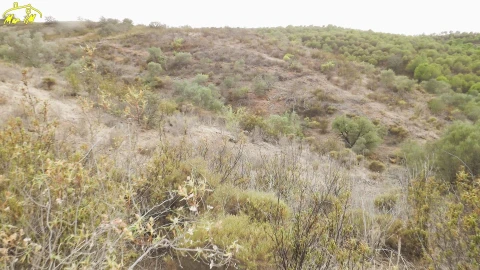 Terreno Agricola ou Rústico para Venda em Castro Marim