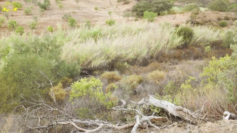 Terreno Agricola ou Rústico para Venda em Castro Marim