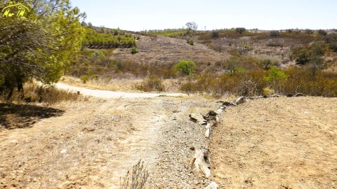 Terreno Agricola ou Rústico para Venda em Castro Marim