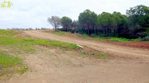 Terreno Agricola ou Rústico para Venda em Castro Marim