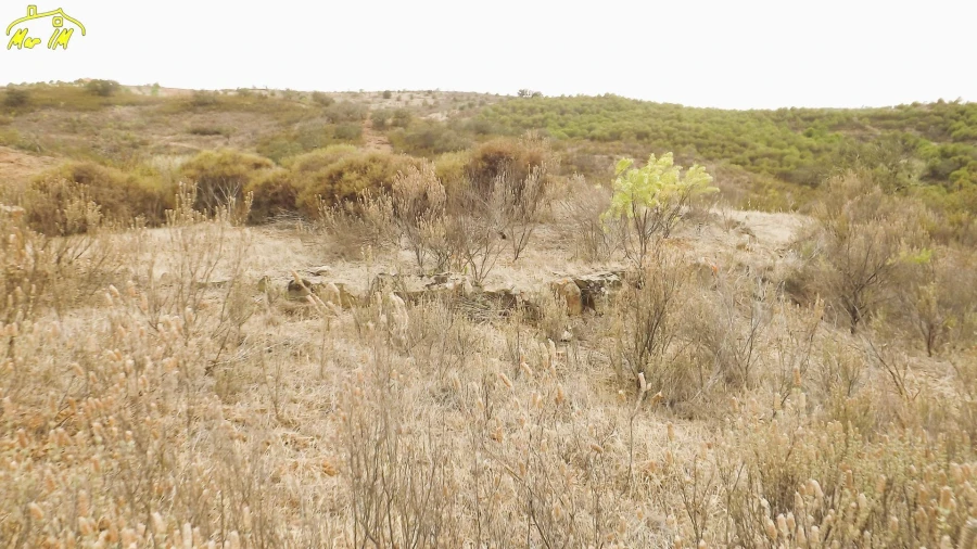 Terreno Agricola ou Rústico para Venda em Castro Marim Foto 10