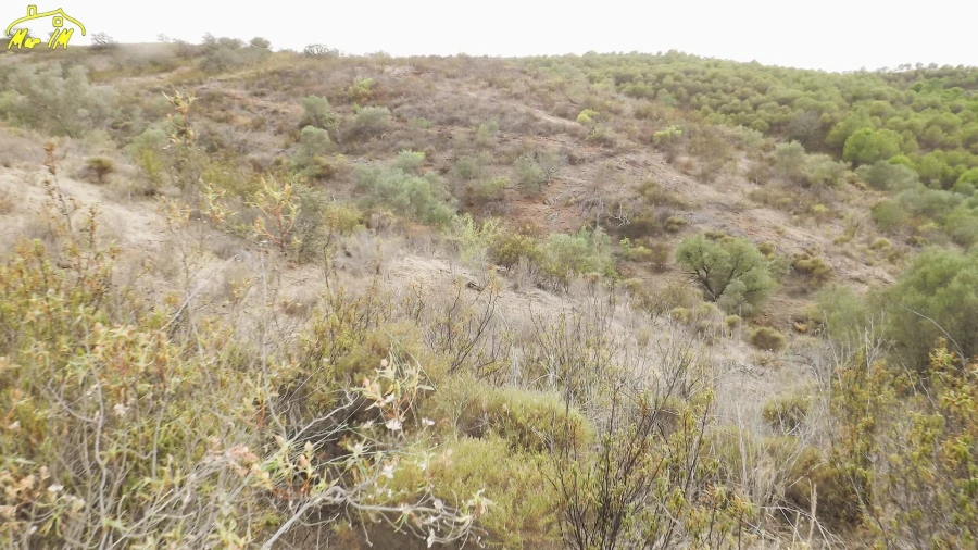 Terreno Agricola ou Rústico para Venda em Castro Marim Foto 19
