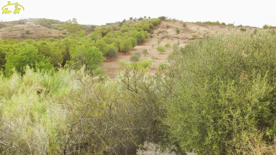 Terreno Agricola ou Rústico para Venda em Castro Marim Foto 27