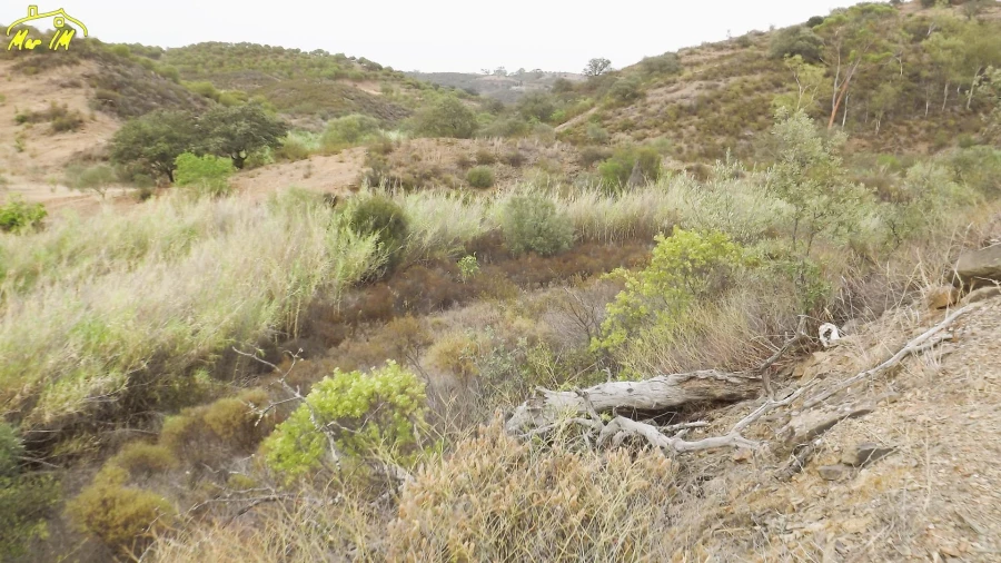 Terreno Agricola ou Rústico para Venda em Castro Marim Foto 29