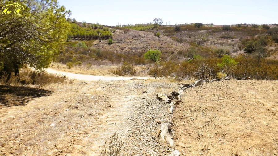 Terreno Agricola ou Rústico para Venda em Castro Marim Foto 38