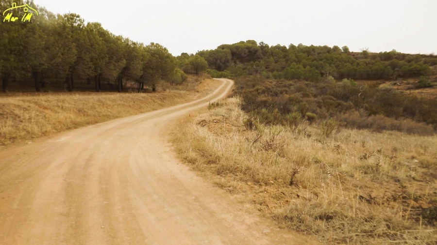 Terreno Agricola ou Rústico para Venda em Castro Marim Foto 5
