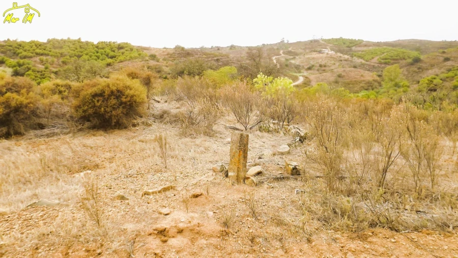 Terreno Agricola ou Rústico para Venda em Castro Marim Foto 6