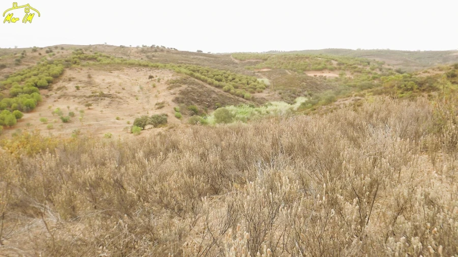 Terreno Agricola ou Rústico para Venda em Castro Marim Foto 8